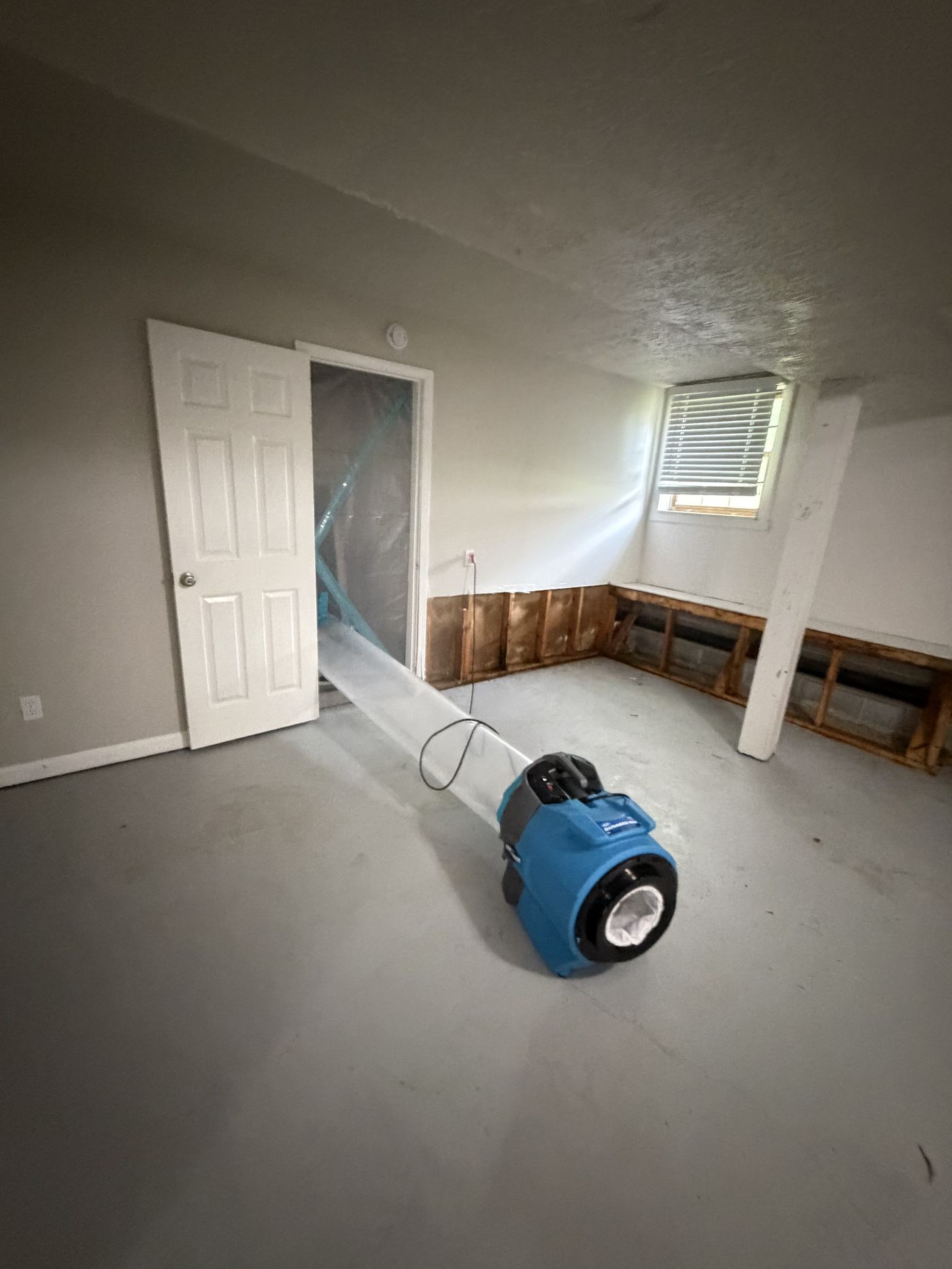 Affected material removed and structure drying during mold remediation